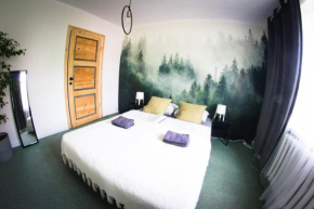 Bezpieczna Przystań - Apartamenty-balia, sauna, narty